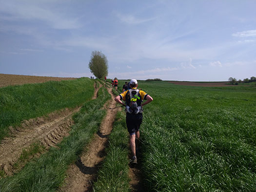 sentier en bordure de champ