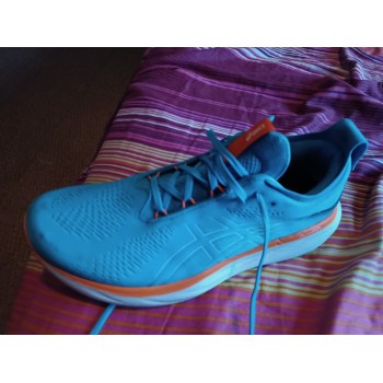 Asics Gel-Nimbus 25 M Chaussures homme-46272-165695-img-1